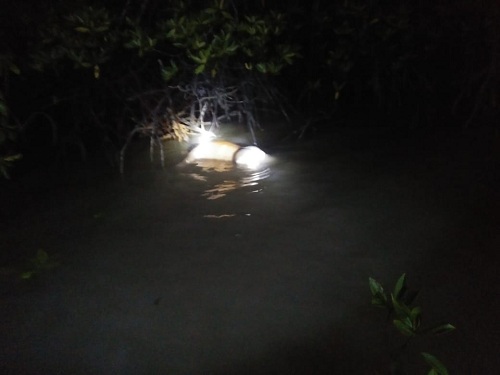 Maksimalkan Pengawasan, Ini Yang Akan Dilakukan Bawaslu Kepri 