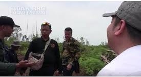 Jaringan Masyarakat Gambut Riau Sebut PT RAPP Sangat Arogan