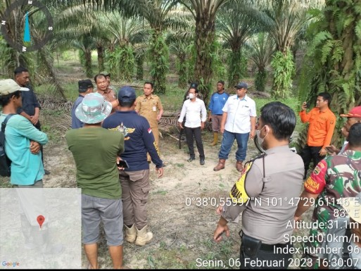 PTPN V Gerak Cepat Lindungi Karyawan dan Masyarakat Pasca Kemunculan Harimau Sumatera
