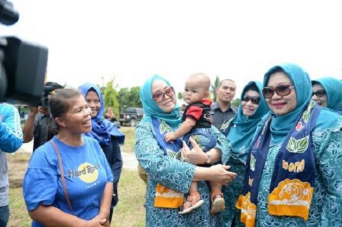 Bulan Bhakti PKK, Upaya Menekan Angka Kelahiran, Kematian Ibu dan Anak