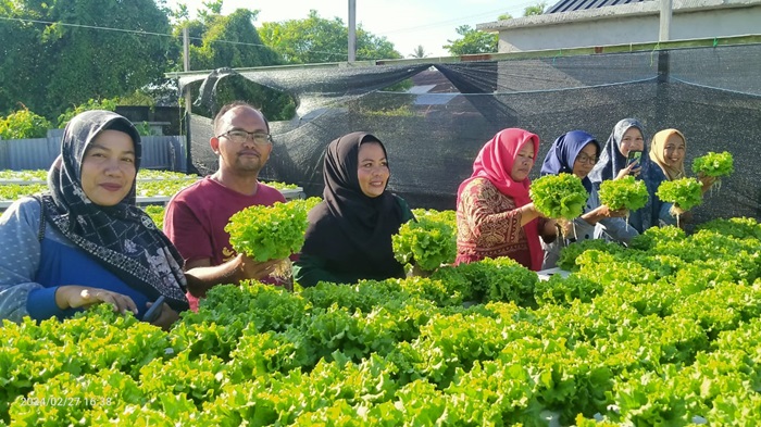 Tingkatkan Ekonomi Keluarga, TP PKK Labuhan Tangga Besar Belajar Sistem Hidroponik 