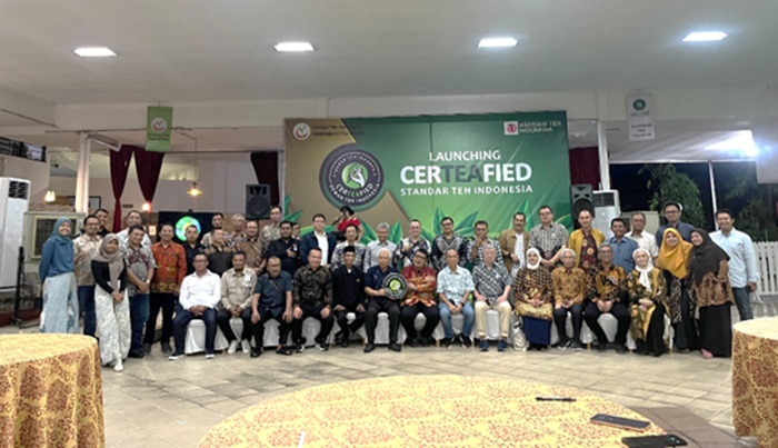 DTI Lounching 