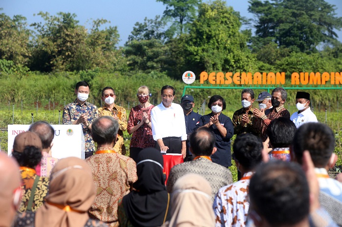 Persemaian Rumpin, Contoh Nyata Kolaborasi Pemerintah-Swasta Atasi Perubahan Iklim