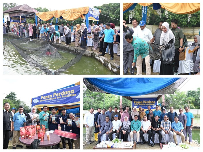 Rektor Unri Panen Perdana, Kolam Ikan Fakultas Perikanan Segera Digarap Komersial