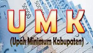 Disnaker Rohil Segera Sosialisasikan UMK Ke Setiap Perusahaan