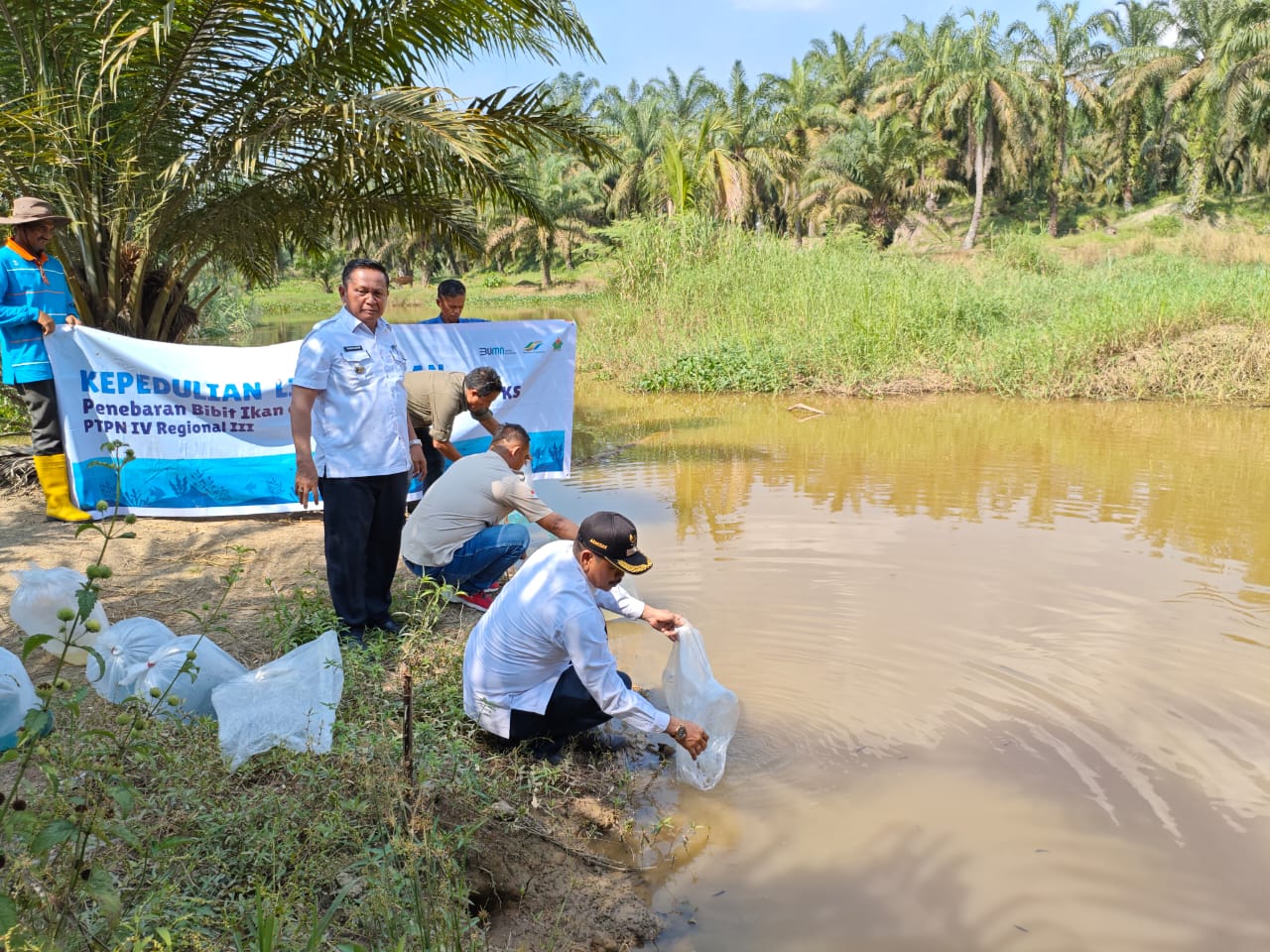 PTPN IV Regional III Tebar 60.000 Bibit Ikan Endemi Sungai Riau