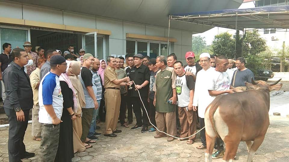 7 Ekor Sapi dan 2 Ekor Kambing Akan di Sembelih Sabtu Mendatang di Kantor PWI Riau