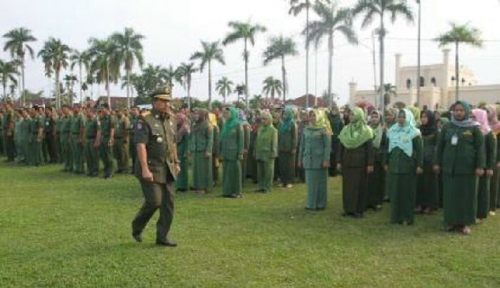 Wabup Siak: Hadapi MEA, Otda Harus Dimantapkan