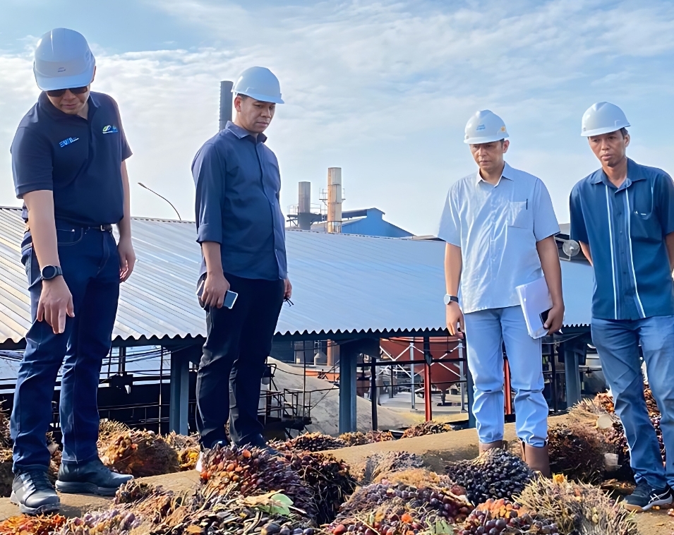 Semester Pertama, Produktivitas CPO PTPN V Lampaui Target RKAP 2023