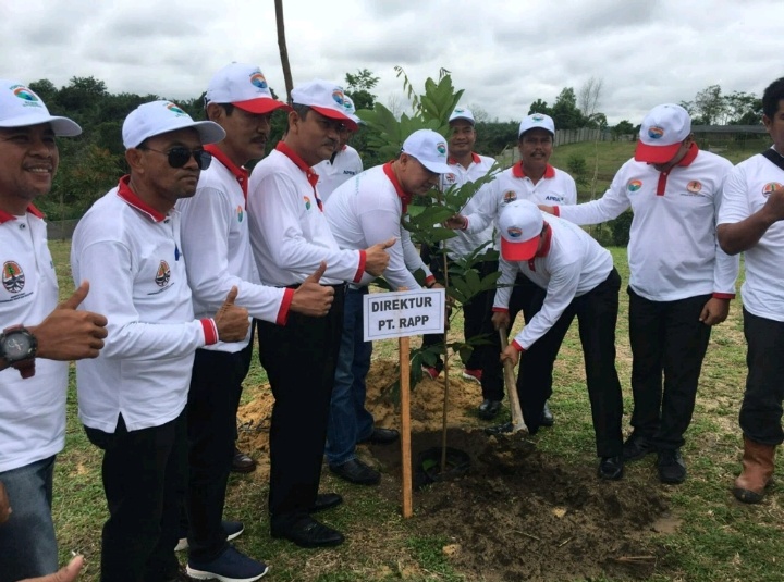 Ribuan Pohon Ditanam di Pekanbaru  Sempena Hari Menanam Pohon 2018   