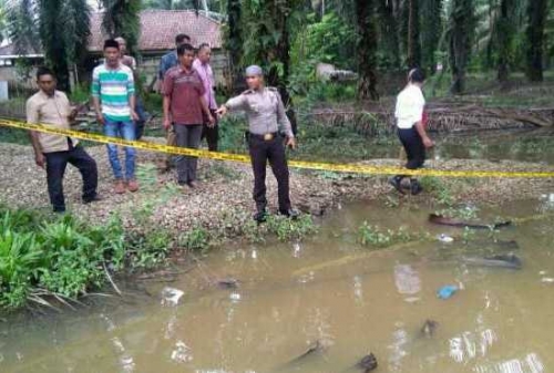 kakak beradik di Rohul tewas tenggelam di kolam Warga