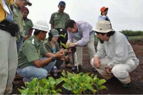 Miliki Teknologi Unggul, RAPP Jadi Rujukan Tata Kelola Lahan Gambut