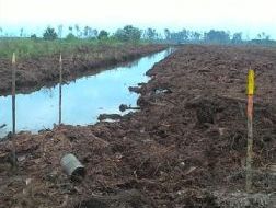 JMGR : Izin RAPP Harus di Cabut