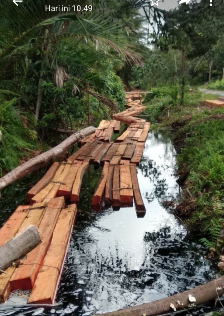 Aparat Tutup Mata Terhadap Pembalakan Ilegal di Desa Sungai Tohor Barat.