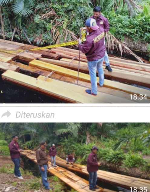 Polres Kepulauan Meranti Amankan Kayu Ilegal Logging Tak Bertuan di Area Hutan LPHD