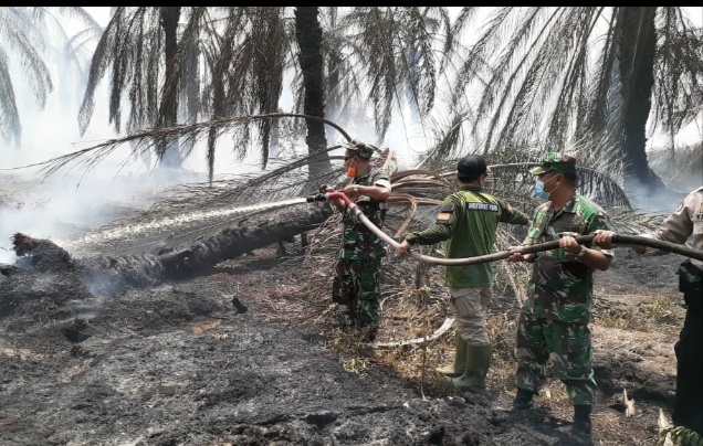 Puluhan Hektar Lahan Gambut Terbakar, Timkarhutla Turun Kelapangan