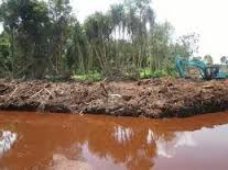 Jikalahari Sebut KLHK  Tebang Pilih Soal Lahan Gambut