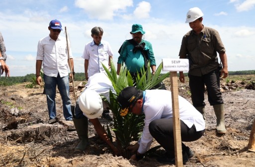  PTPN V Remajakan 13.727 Hektare Perkebunan Sawit Inti Hingga 2026