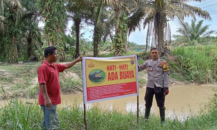 Aparat Polsek Simpang Kanan Pasang Spanduk Peringatan Bahaya Buaya