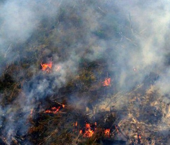 BMKG: Hotspot Riau Terdeteksi Satu Titik Sore Ini
