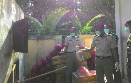 Karantina Selatpanjang Bakar Barang Tangkapan Daging Rusa 