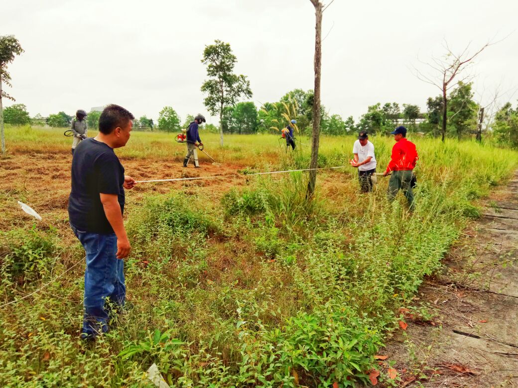 Sabtu Lusa, PWI Riau Tanam Pohon 500 di Stadion Utama