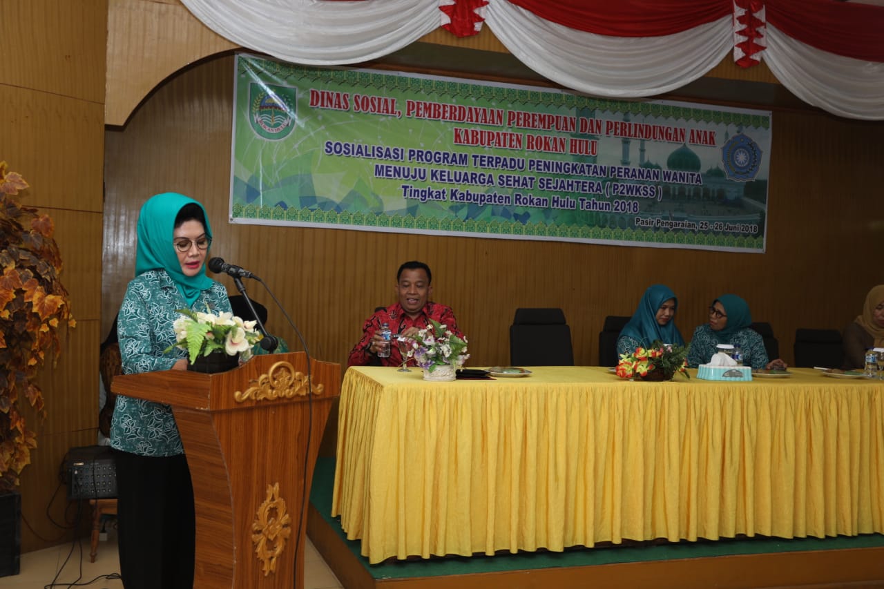  Dukung Program P2WKSS, Ketua TP PKK Ajak Kaum Perempuan di Rohul Berperan Dalam Pembangunan