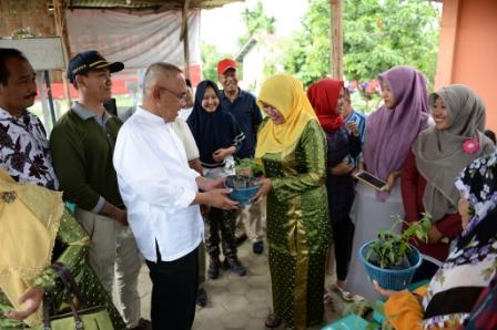 Gubernur Riau Ajak Masyarakat Manfaatkan Pekarangan Rumah Tanam Cabe 