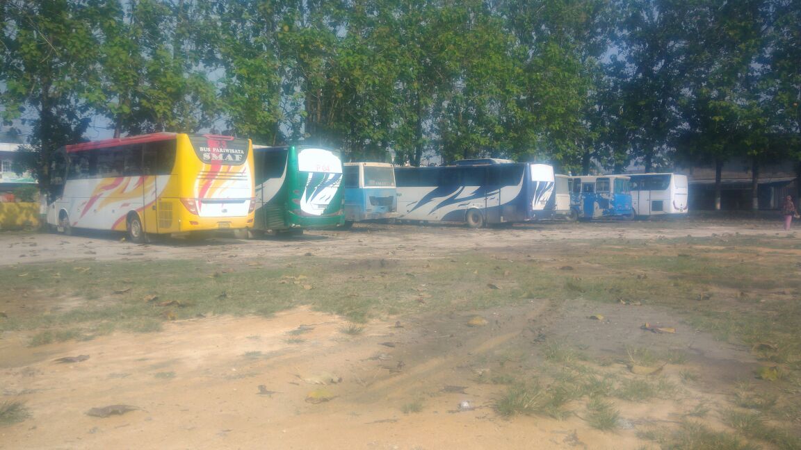 Lapangan Sepak Bola Juga Dijadikan  Tempat Parkir Bus Gratis Yang Diduga Milik PT RAPP