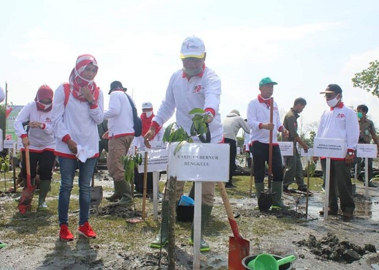 Peringatan Hari Mangrove Se-Dunia, Berikut Pesan Wagub Dedy Ermansyah Dalam 