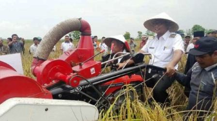 Tingkatkan Swasembada Pangan Di Rohil, Bupati Terapkan Perda Alih Fungsi Lahan