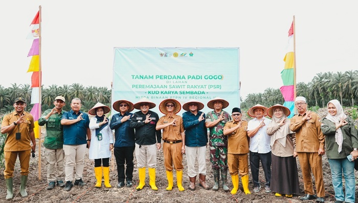 Perluas Program TAMPAN, PTPN IV PalmCo Tanam Padi 210 Ha di Kampar