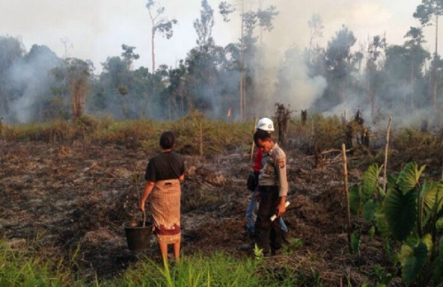 Membakar Lahan, Polisi Jadikan Ibu Beranak Dua Tersangka