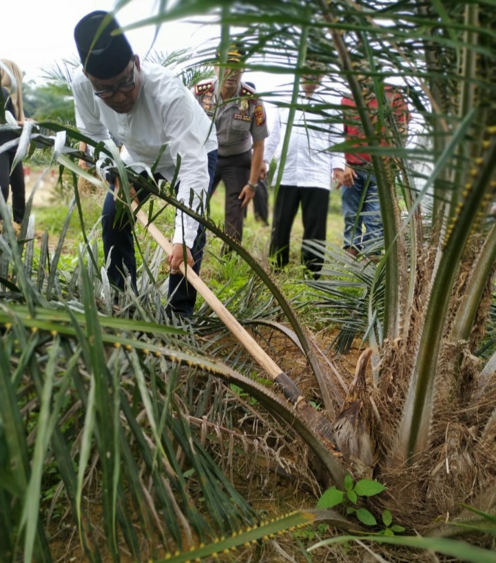 Bupati Suyatno Dodos Sawit Program PSR