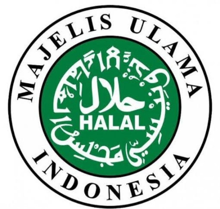 Fatwa MUI Tentang Golput
