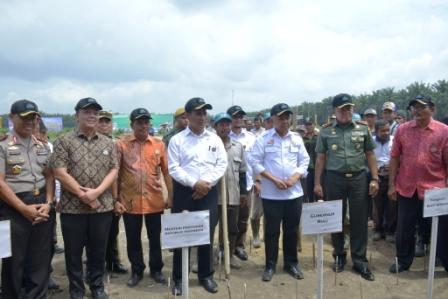 Dukung Swasembada Jagung, Gubri Sediakan Lahan 100 Ribu Hektar 