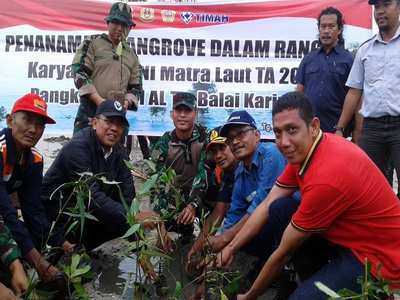  Lanal Karimun Tanam 1000 Mangrove di Pantai Coastal Area
