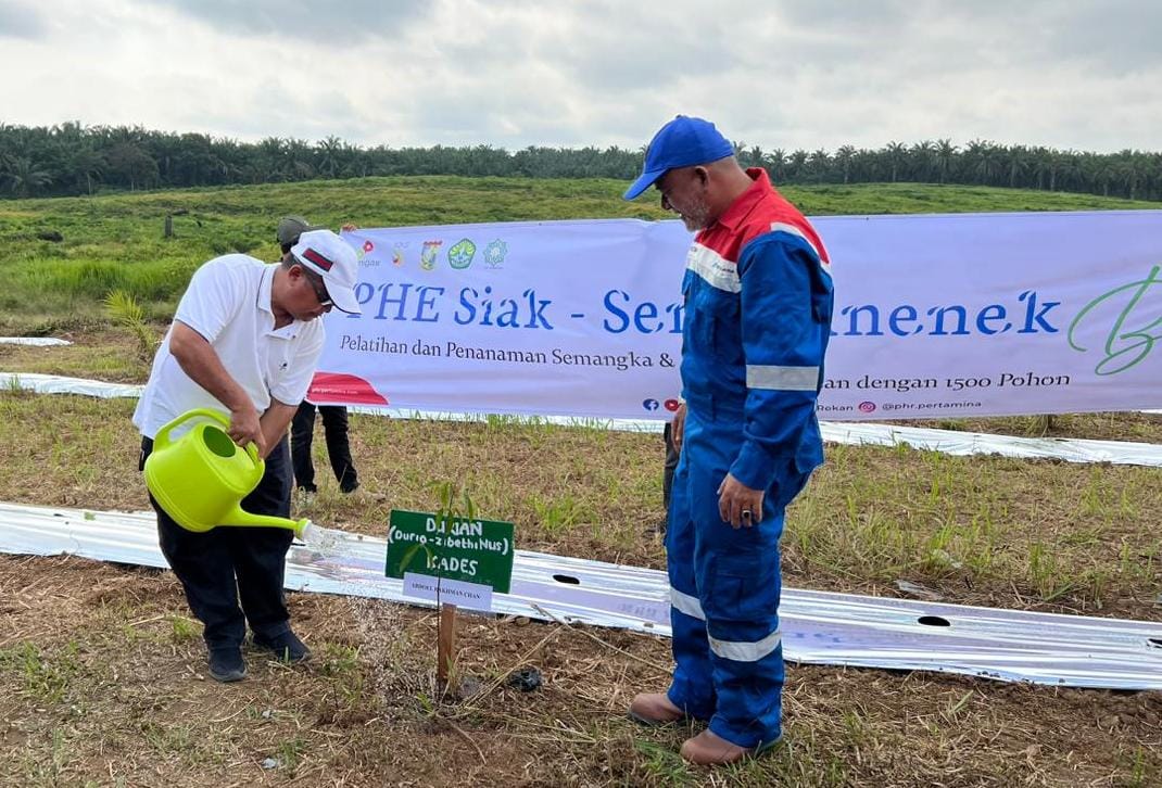 PHE Siak Gelar Pelatihan Budidaya Semangka dan Palawija serta Tanam 1500 Pohon di Desa Senama Nenek