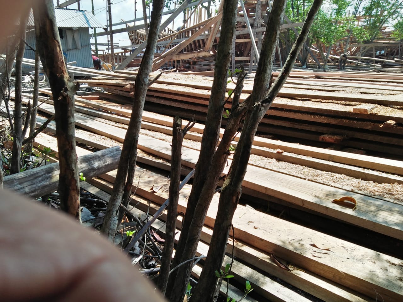  Praktik Illegal Loging di Meranti Terus Berlangsung