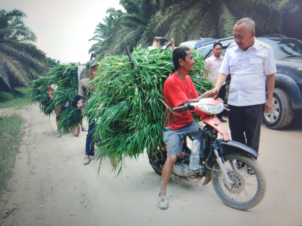 Cagub Andi Rachman Bertemu Pejuang Riau Menuju Swasembada Daging