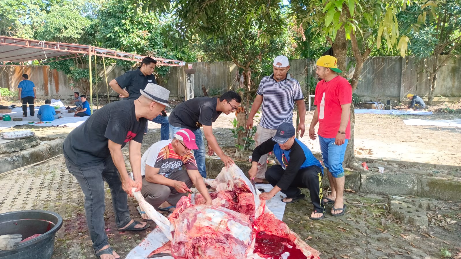 Dihadiri Wakil Ketua DPRD Riau dan Wakil Bupati Bengkalis, PWI Riau Potong 9 Ekor Kurban