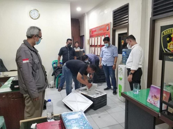 Polres Inhil Amankan Penyeludup Benih Lobster Senilai Rp 12 Miliar