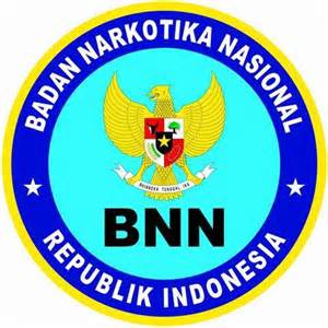 BNN Pelalawan Lakukan Monitoring dan Evaluasi Diseminasi Informasi P4GN 