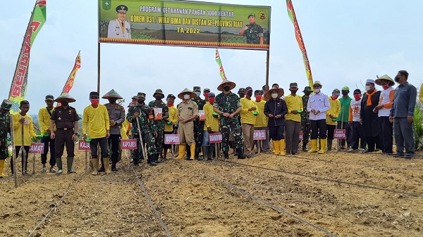 Wakil Bupati Apresiasi Penanaman Program Ketahanan Pangan Kodim 0321 Rohil