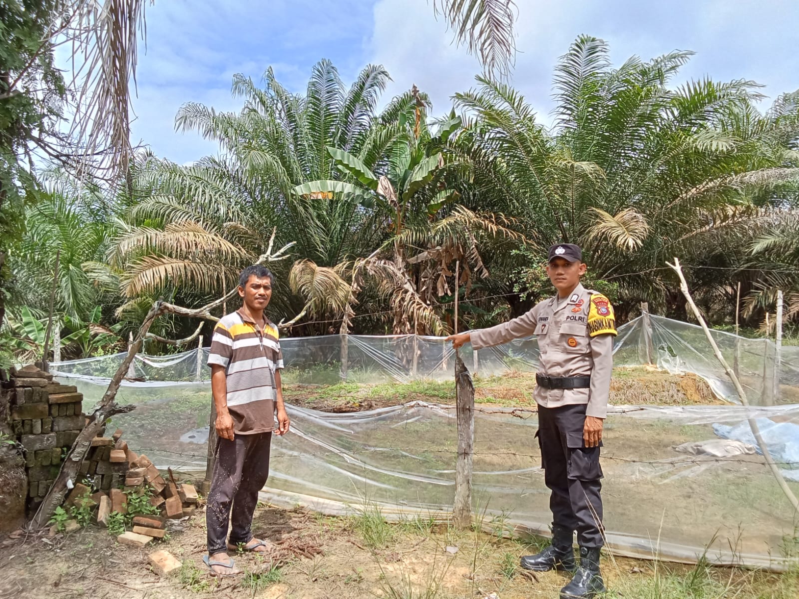 Bhabinkamtibmas Bukit Mas Cek Ketahanan Pangan Bergizi Tanaman Cabe