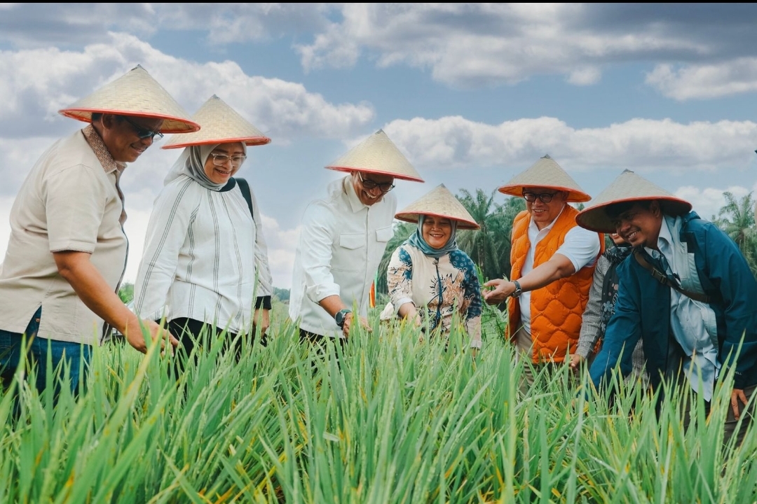 Kemenko Pangan Proyeksi Padi di Areal PSR PTPN IV Regional III Hasilkan 50 Ton Gabah