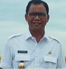 Bupati Apresiasi Pasar Murah TP-PKK dan DWP Rohil