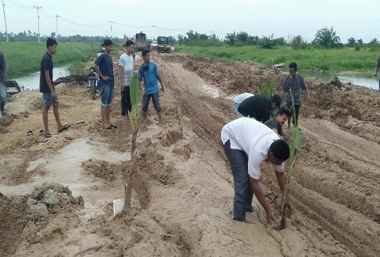 Puncak Kekesalan Warga, Jalinprov di Desa Sontang Ditanami Puluhan Batang Pisang