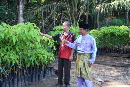 Dishut Riau Bantu 22.500 Bibit Karet Untuk Poktan Sei Koru Desa RTB