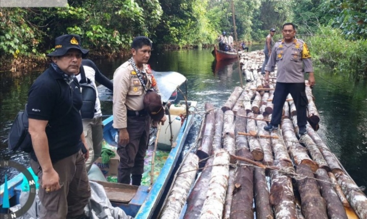 Gerak Cepat Polres Siak Selidiki Dugaan Tindak Pidana Ilegal Logging di Kampung Rawa Mekar Jaya
